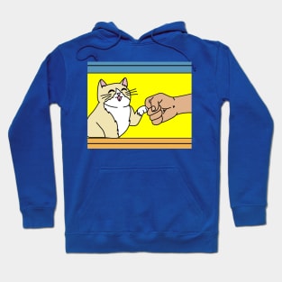 Best Retro Cat Owner Of All Time Hoodie